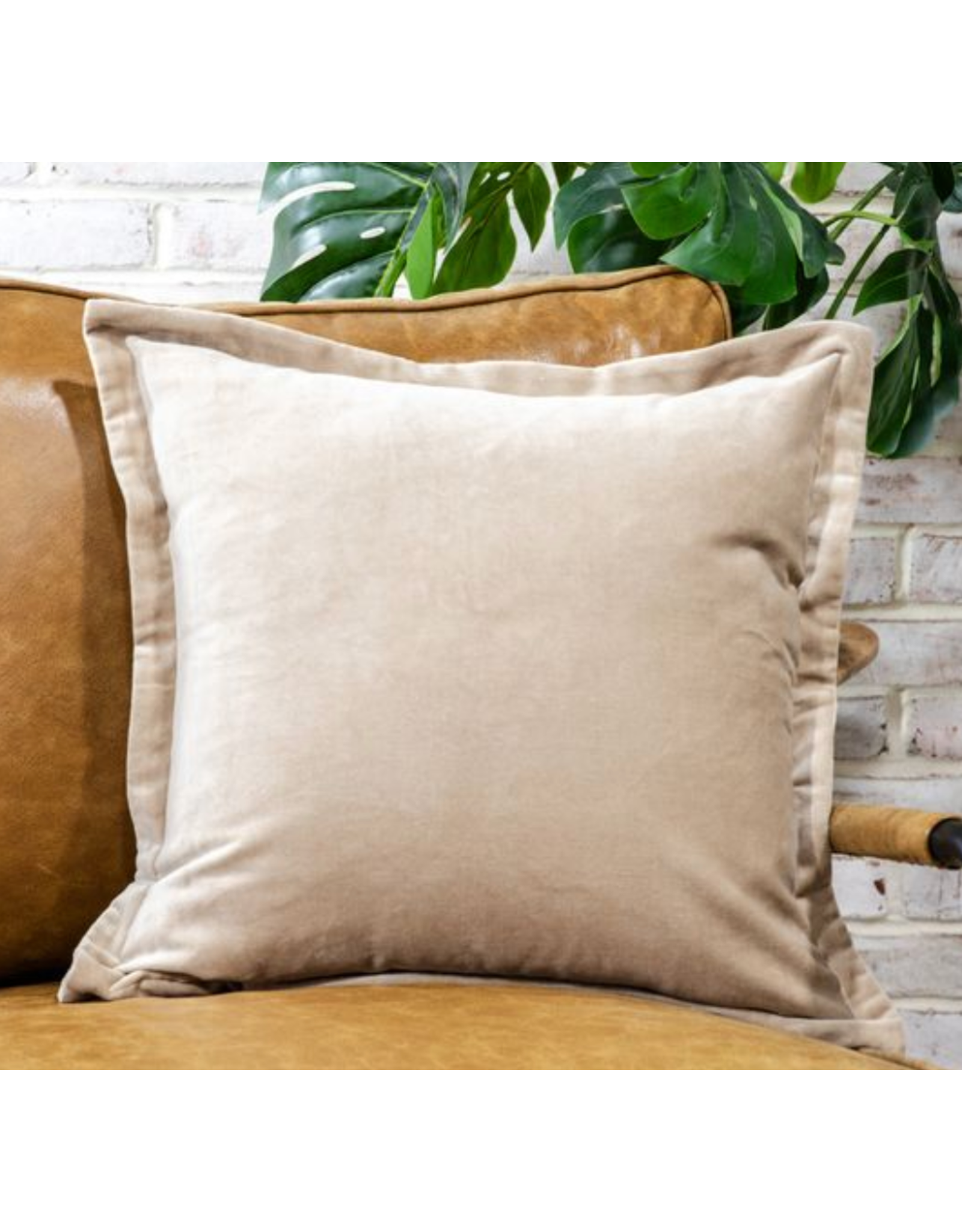 PD Home & Garden 18x18 Solid Velvet Pillow