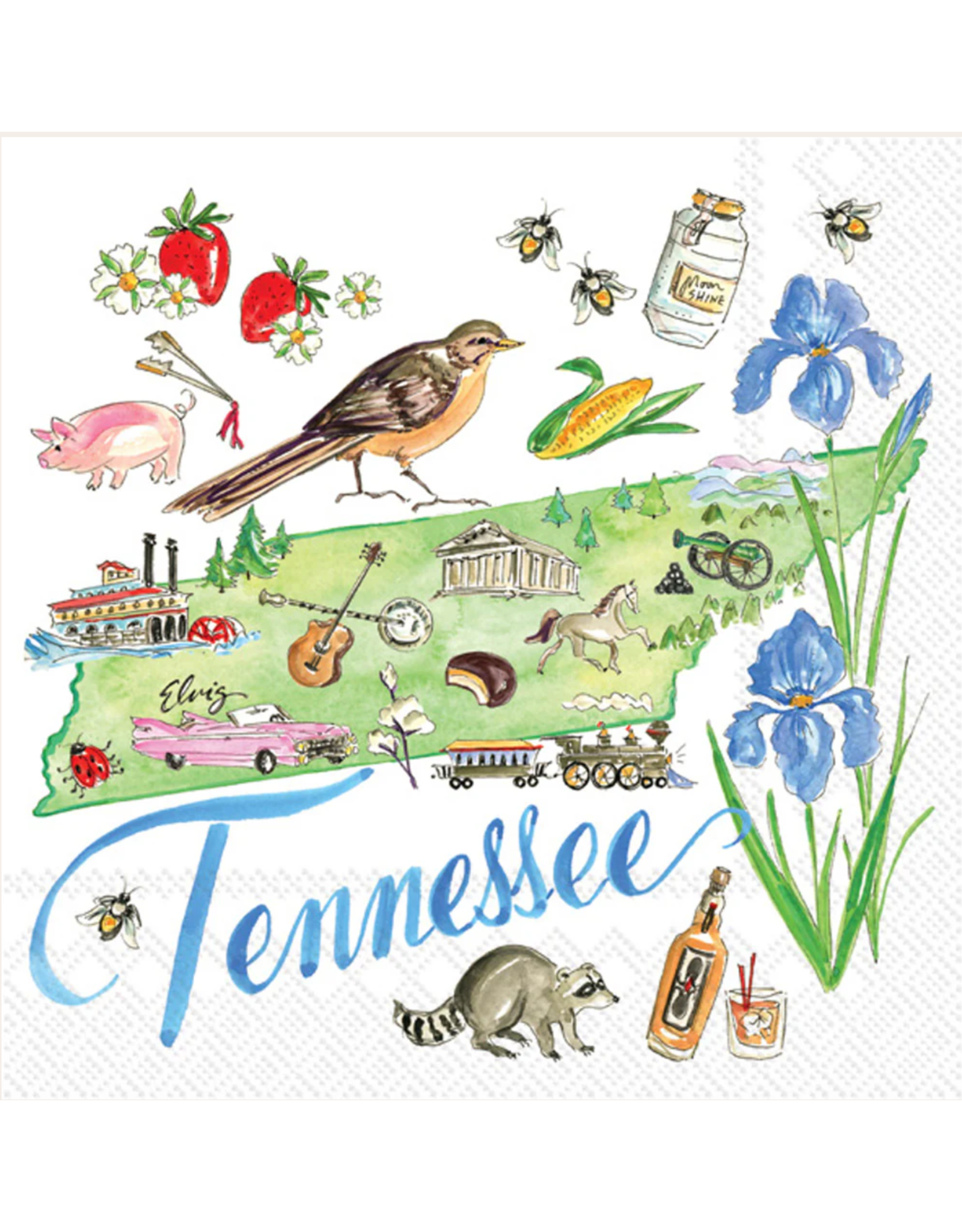 Boston International Everyday Cocktail Napkins