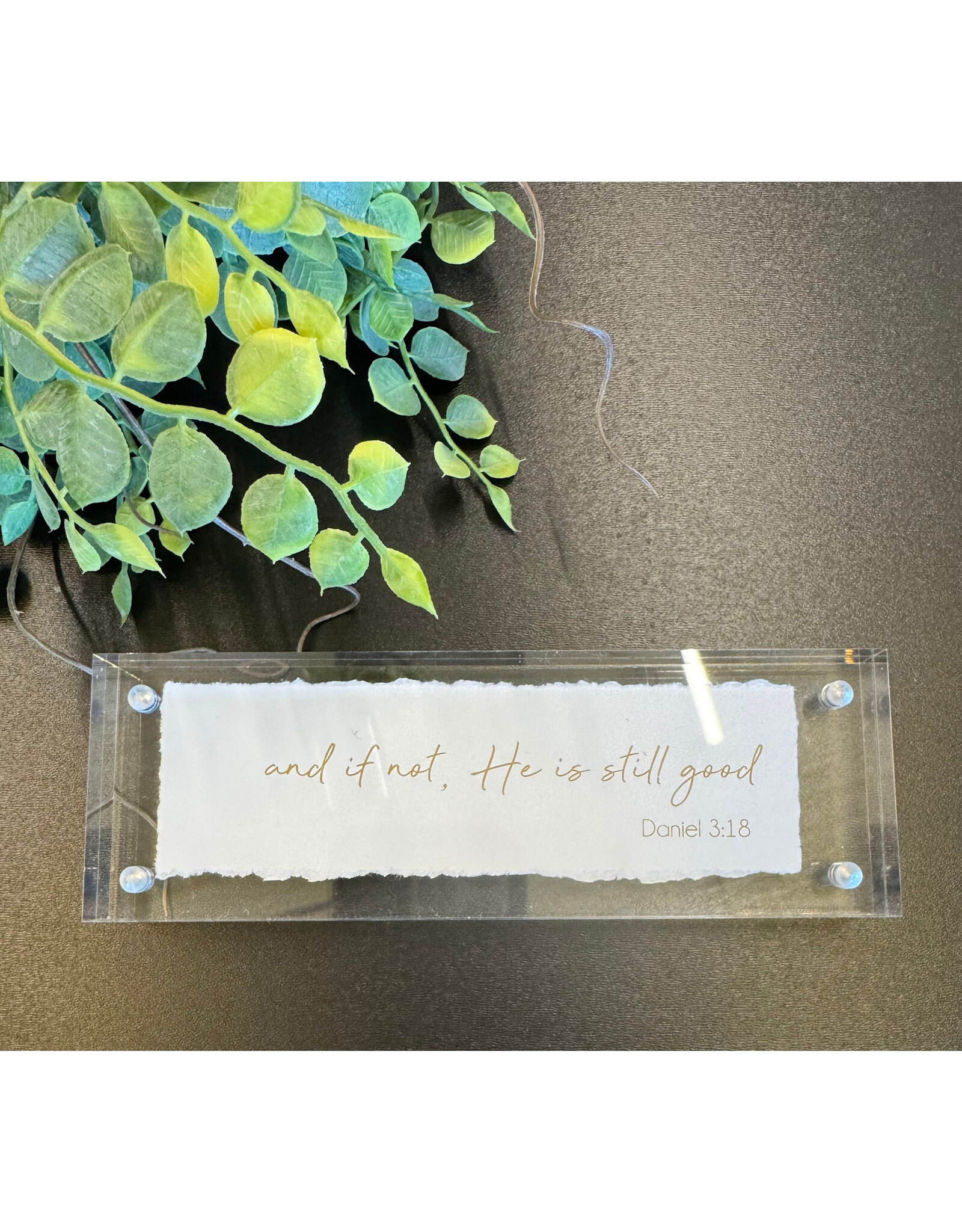 Eva Belle 2x6 Acrylic Block