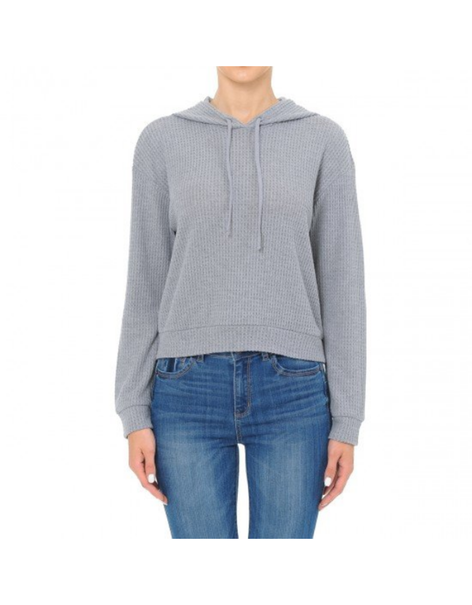 Ambiance Women Plus Size Long Sleeve Knit Sweater - 71237