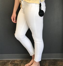 articles of society wholesale