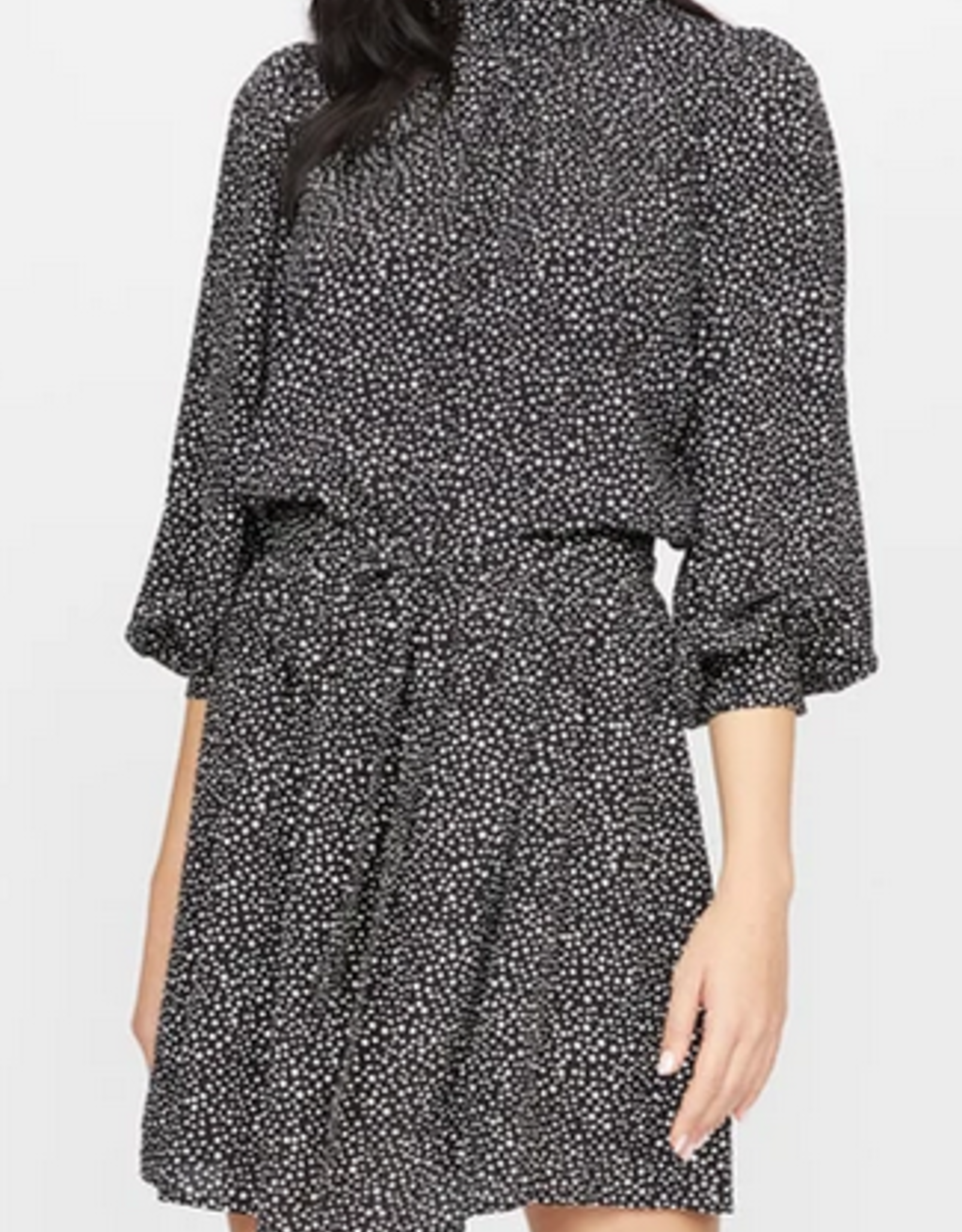sanctuary polka dot dress
