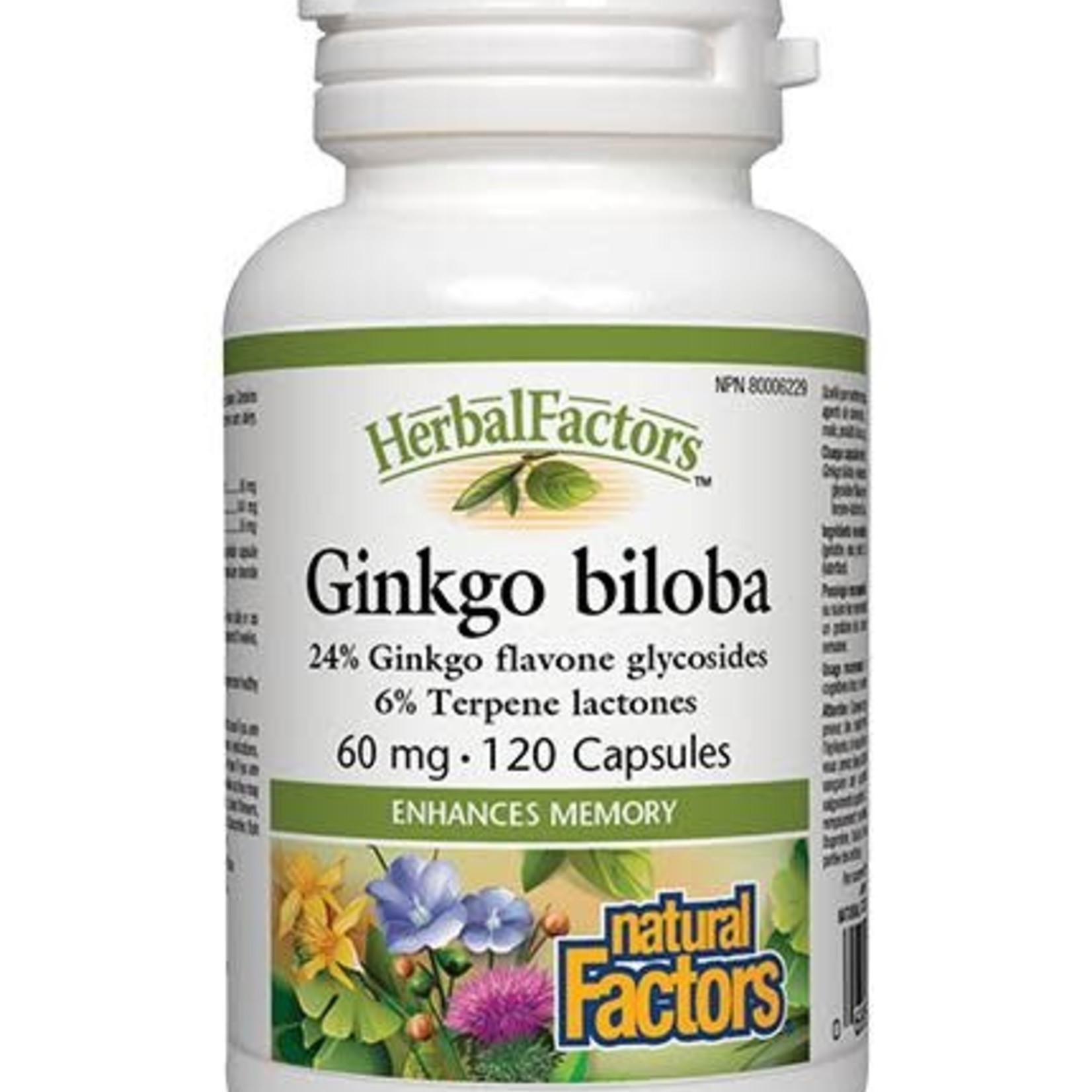 Natural Factors Natural Factors Ginkgo Biloba 120 caps