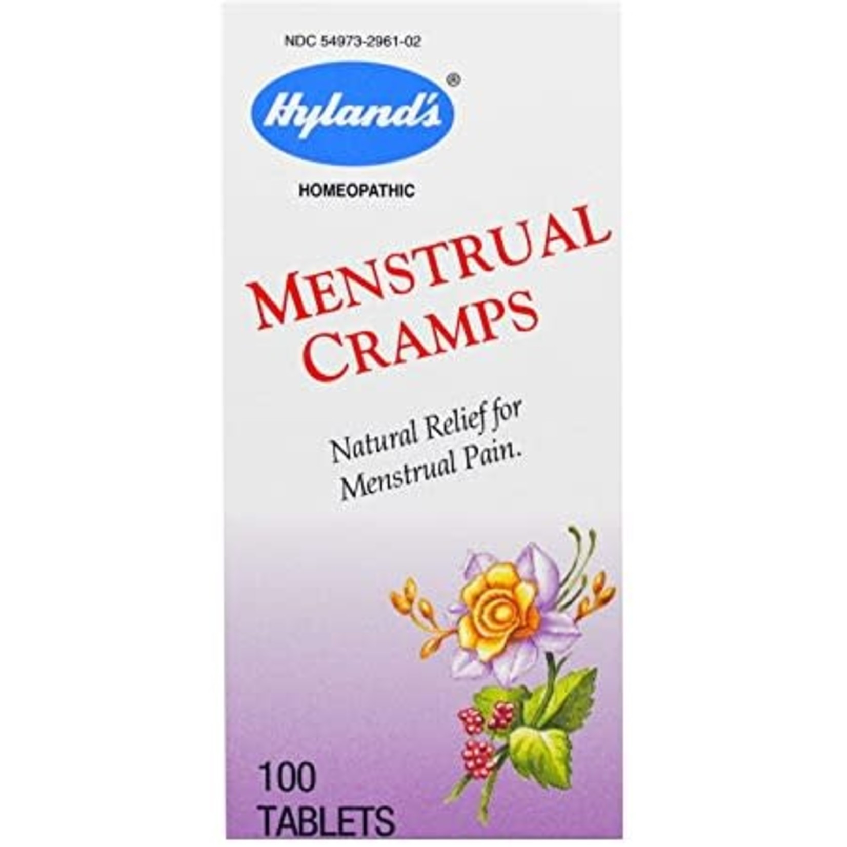 Hyland’s Hyland’s Menstrual Cramps 100 tabs
