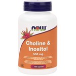 Now Now Choline & Inositol 500mg 100 caps