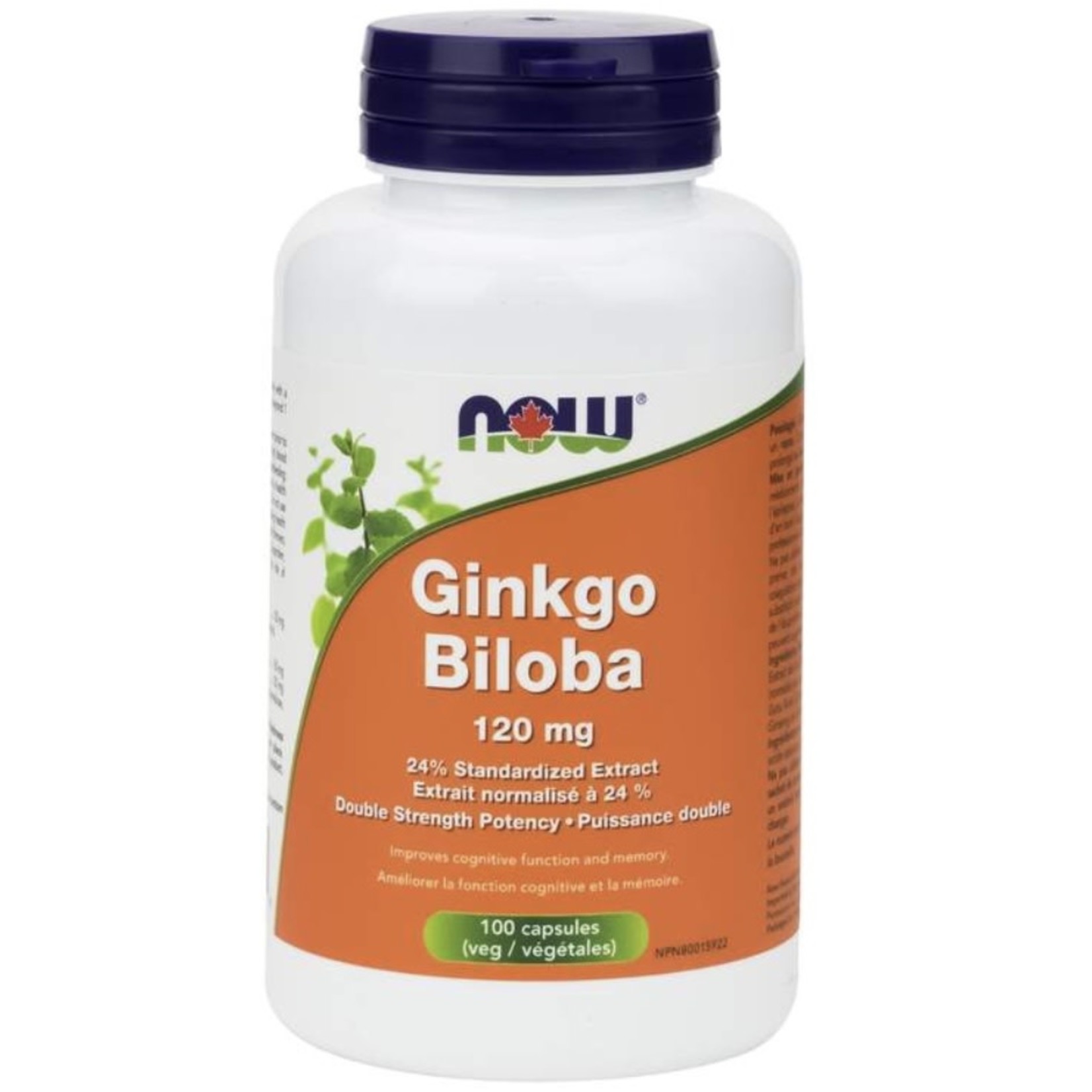 Now Now Ginkgo Biloba 120mg 100 caps