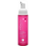 Andalou Andalou 1000 Roses Cleansing Foam 163ml