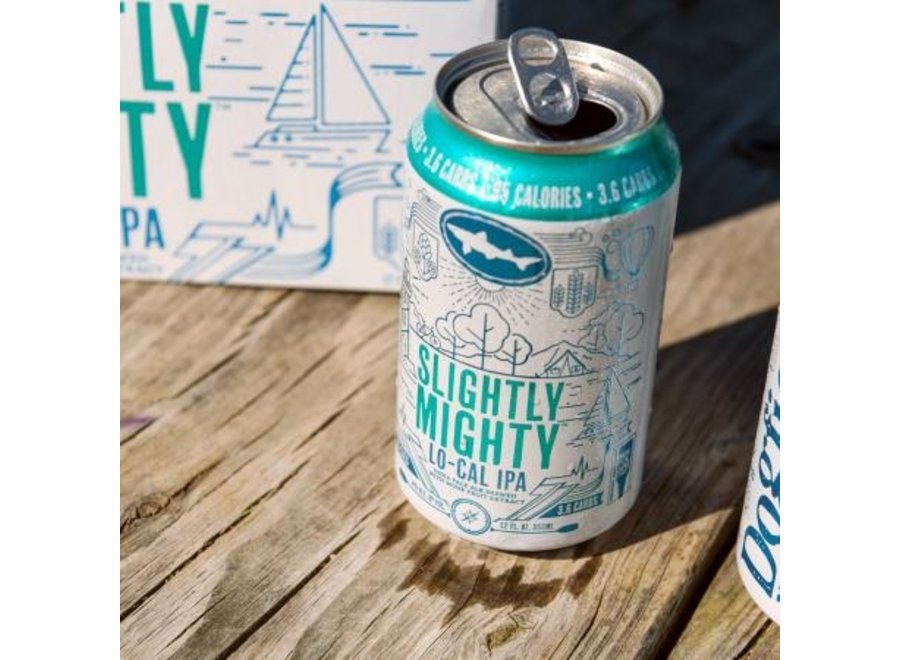 DOGFISH HEAD SLIGHTLY MIGHTY IPA 12PK 12OZ CAN Cork N Bottle
