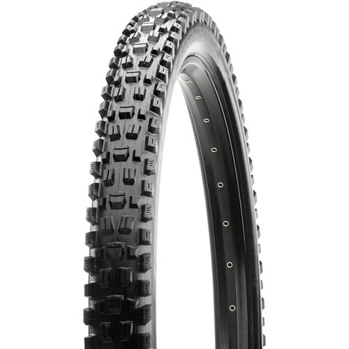 Maxxis Maxxis Assegai Tire - 29 x 2.5, Folding, Tubeless, Black, 3C Maxx Terra, EXO, Wide Trail