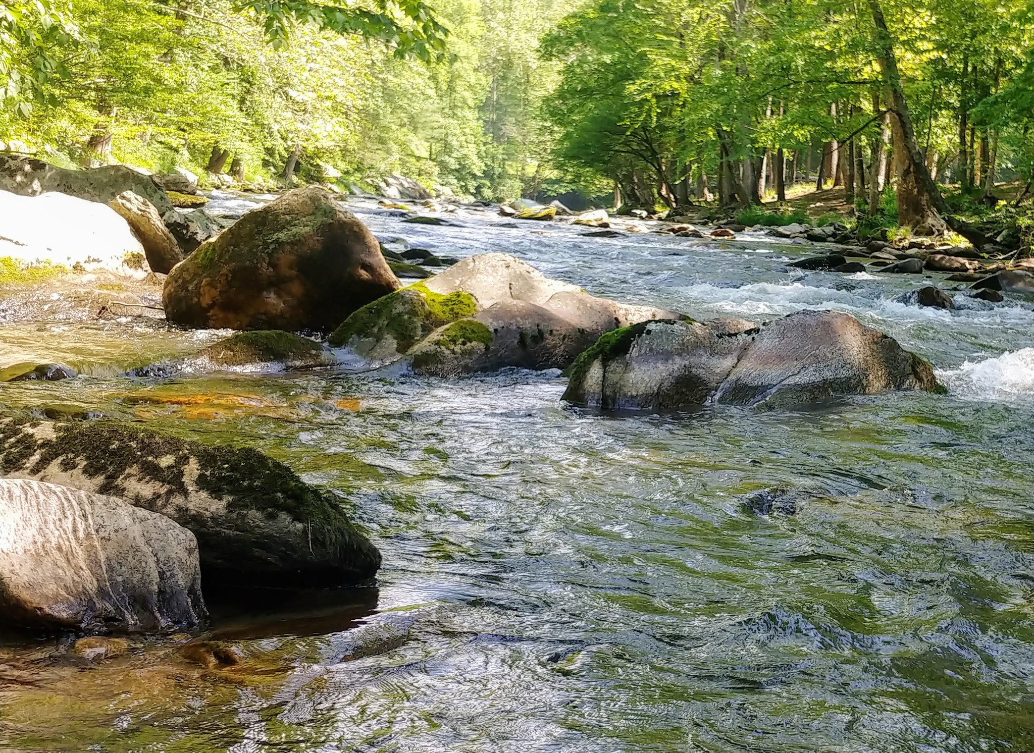 Fishing Report June 16, 2020