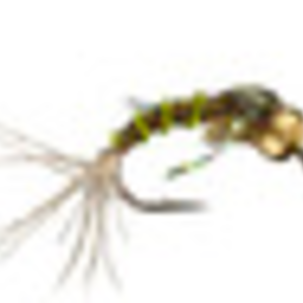 RIO TAILWATER TINY OLIVE S18