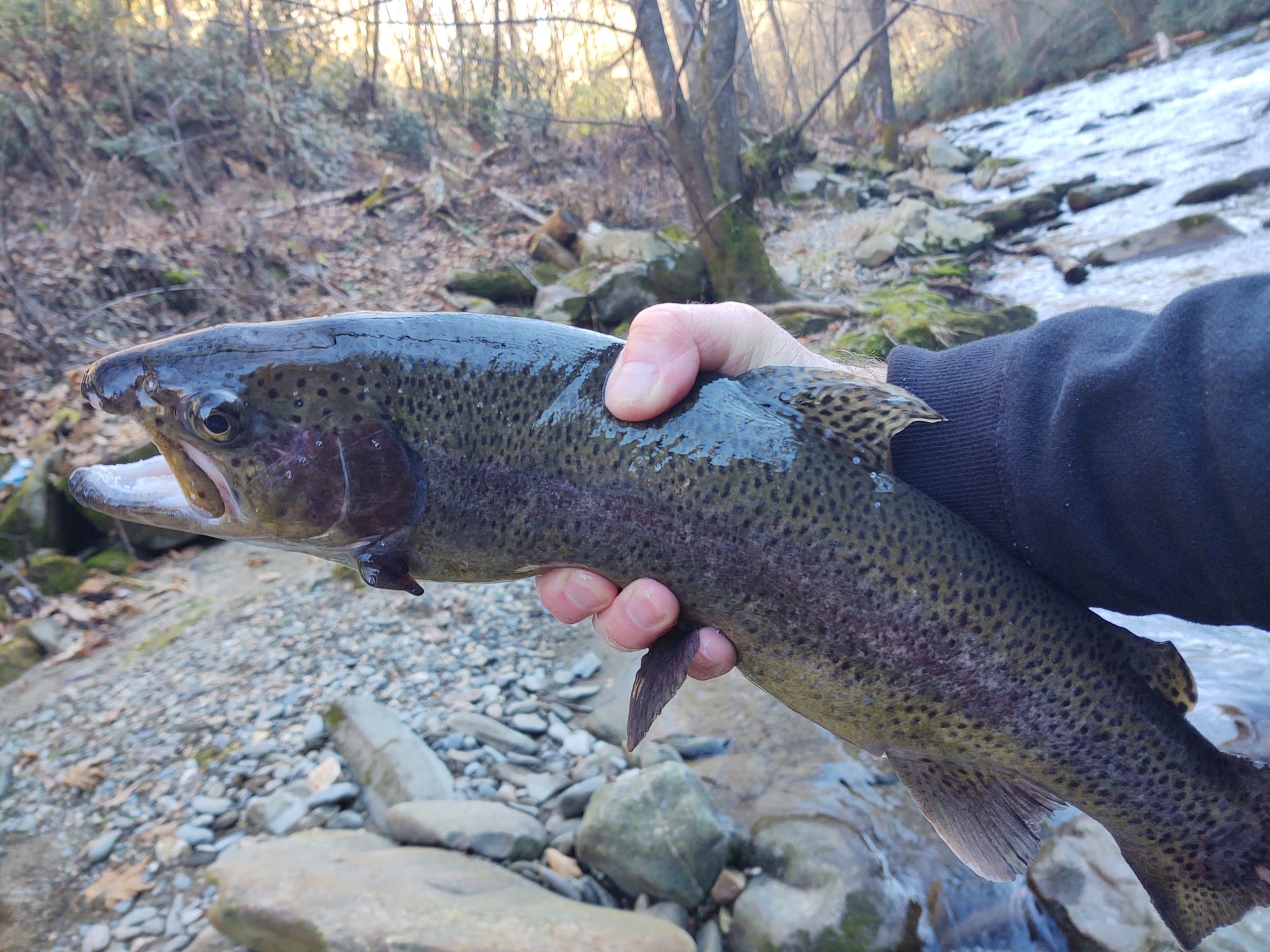 Fishing Report December 14, 2020 - Happy Holidays