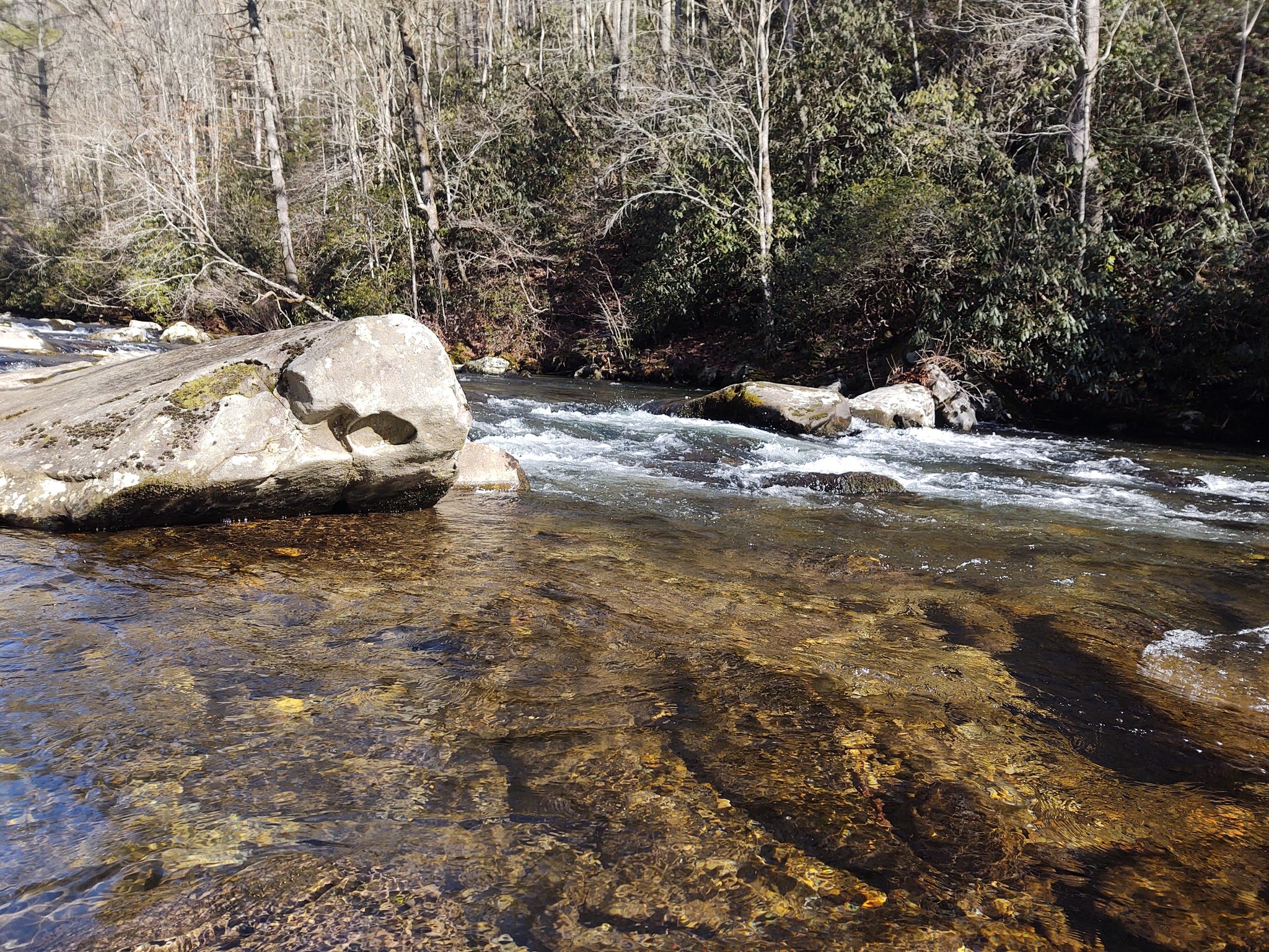 Fishing Report January 23, 2021