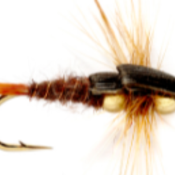 FULLING MILL BH Stonefly Brown S8