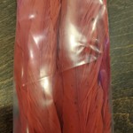 WHITING FARMS ROOSTER TAIL FEATHERS 6-10' - RED