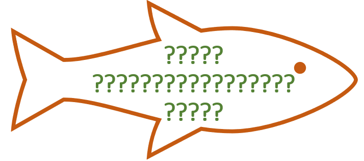 Common Questions We Hear At The Shop
