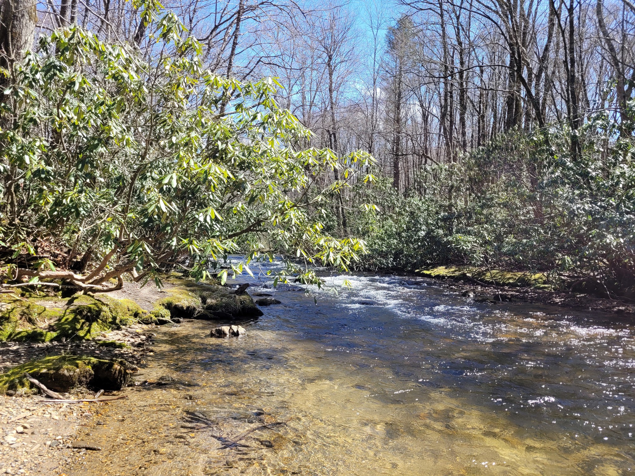 Fishing Report March 24, 2022
