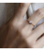 MO horizon ring