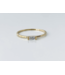 MO horizon ring