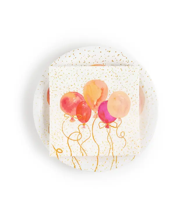 Paper Plate & Napkin Set  48 pc