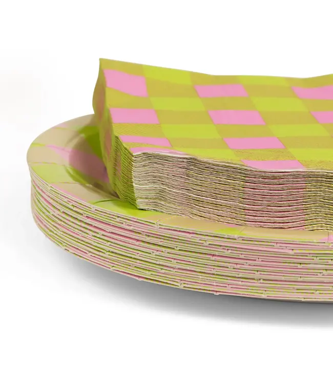 Paper Plate & Napkin Set  48 pc