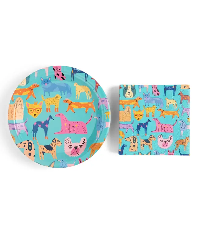 Paper Plate & Napkin Set  48 pc