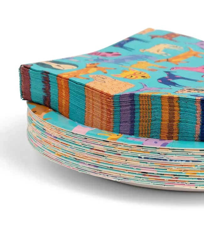 Paper Plate & Napkin Set  48 pc