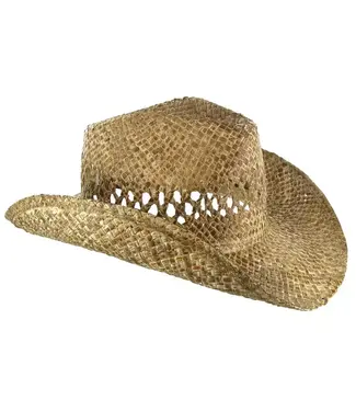Hobby Lobby HB straw cowboy hat