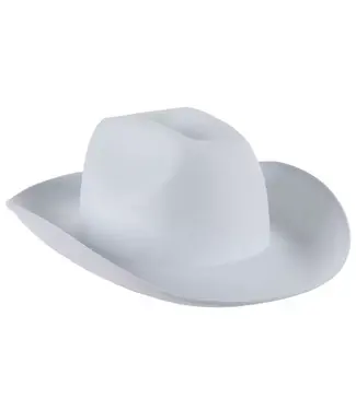 Hobby Lobby HB stiff felt cowgirl hat white