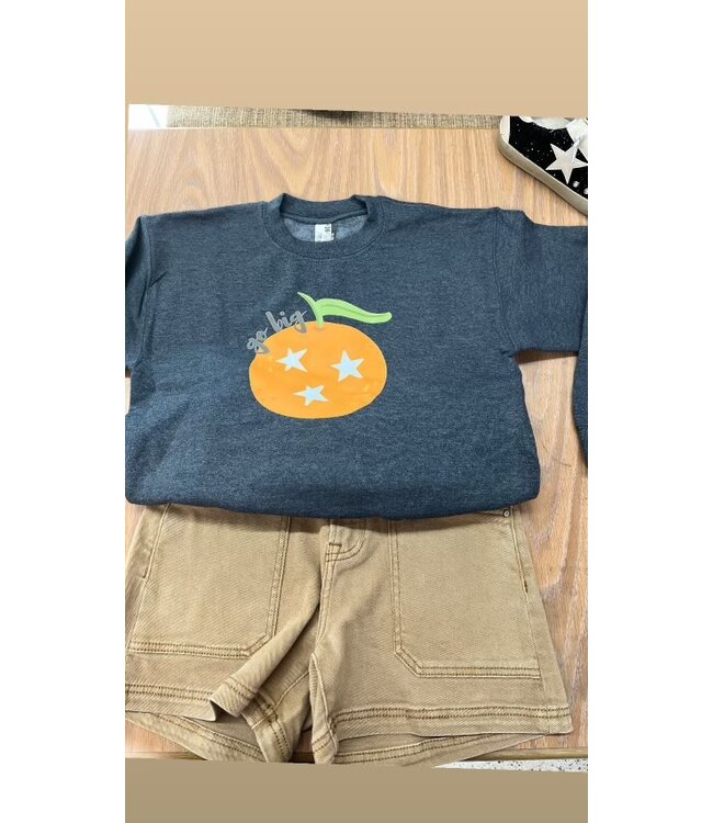 AP Go Big Orange Sweatshirt