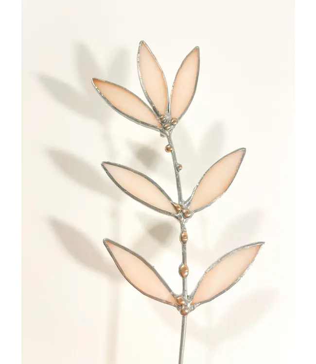 peachy pink wildflower plant stem