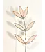 peachy pink wildflower plant stem