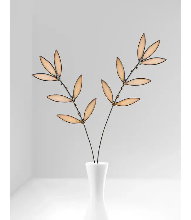 peachy pink wildflower plant stem
