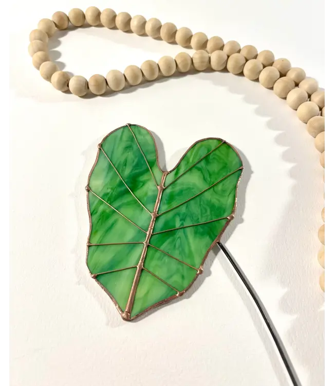 elephant ear glass plant stem