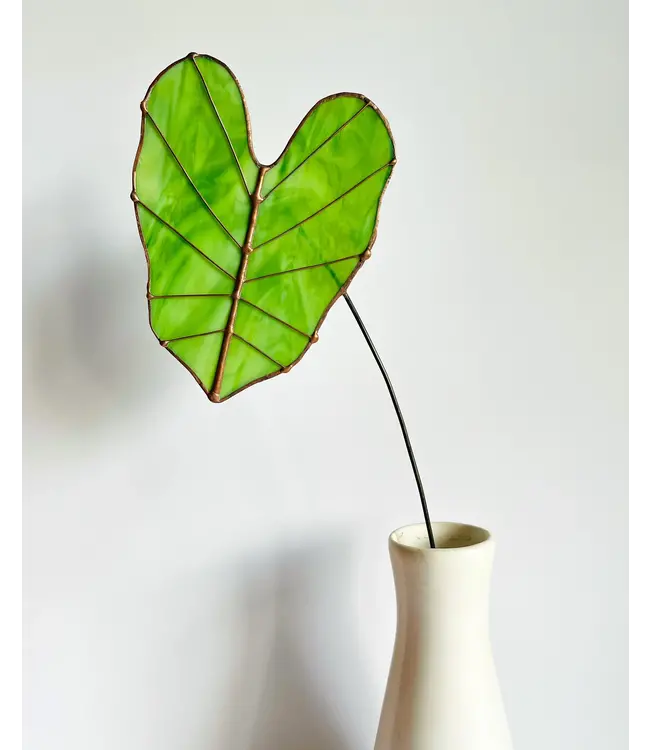 elephant ear glass plant stem