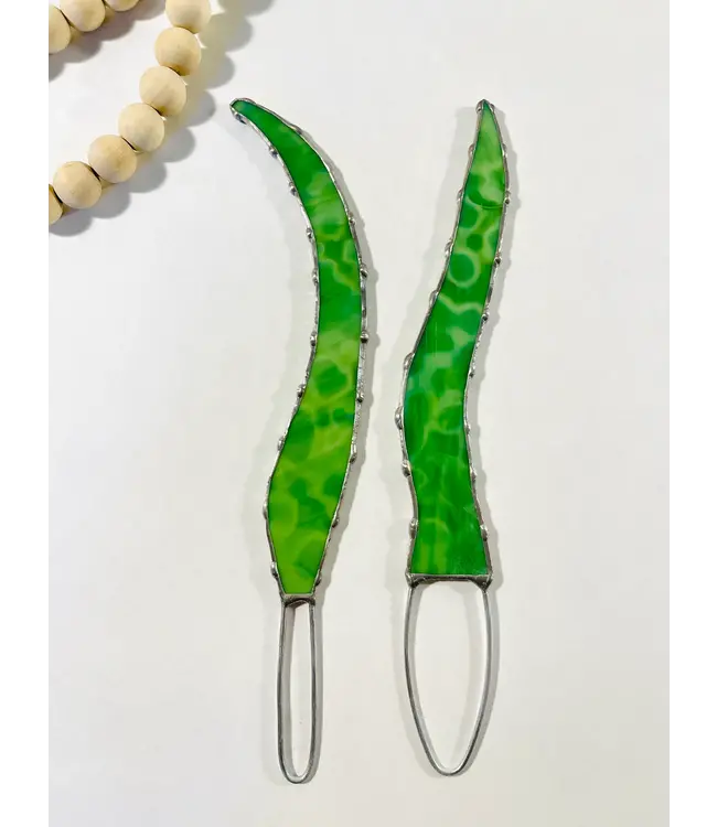 baby stained glass aloe vera plant stem