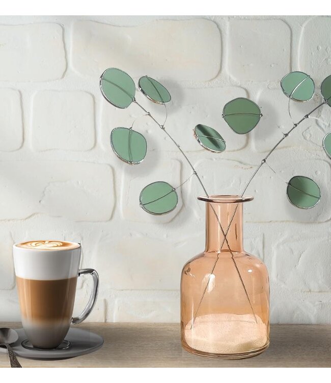 silver dollar eucalyptus plant stem