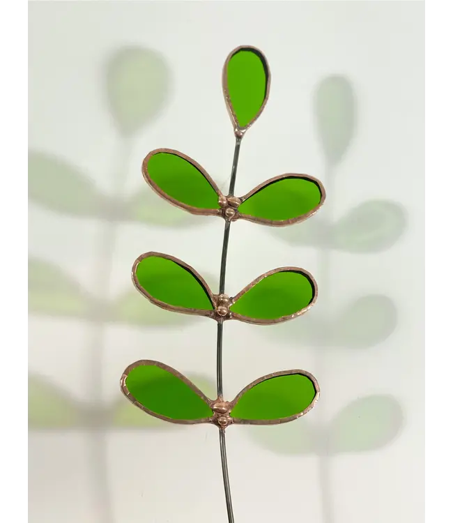 green sprig 5 leaf plant stem