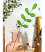 green sprig 5 leaf plant stem