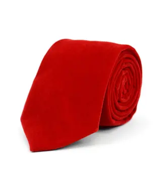 Selini New York Men's Red Velvet Tie