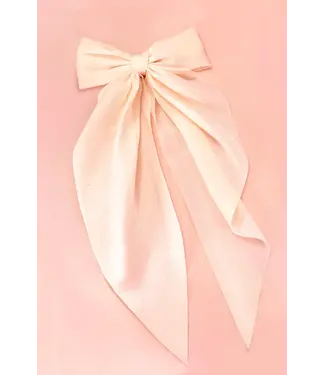Josslyn Organza Sheer Bow