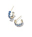 Cailin Crystal Huggie Earrings