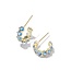 Cailin Crystal Huggie Earrings