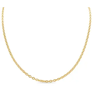 WJW Stainless Steel Loop Chain Neck 13"