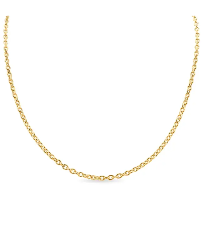 CHN3011 Stainless Steel Loop Chain Neck 13"