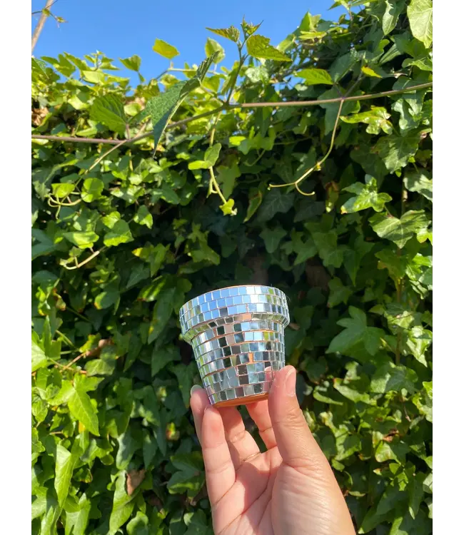 Mini Disco Planter