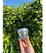 Mini Disco Planter