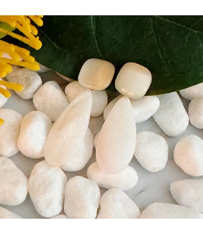 Z1ZA0573 Breeze Double Stone Earrings