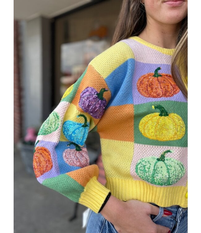 Colorblock Pumpkin Cardi