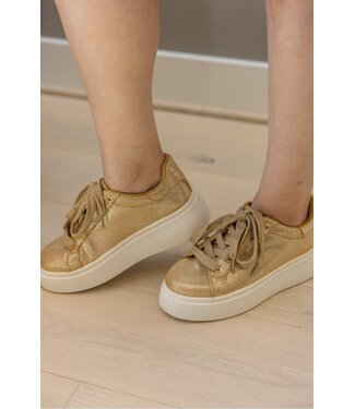 Dirty Laundry RECORD sneaker